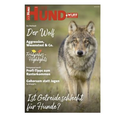 🐶 8 Ausgaben Der Hund für 34,96€ + Prämie bis 30€ Gutschein