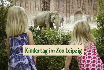 Zoo Leipzig: Am 01.06.2022 kostenloser Eintritt für Kinder