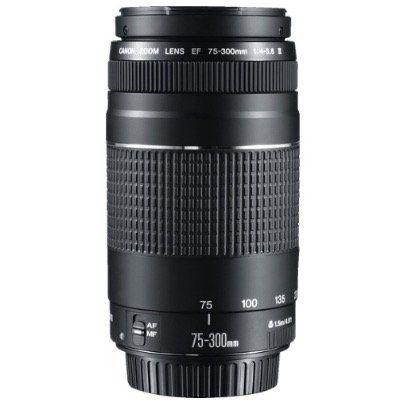 Nur bis 14 Uhr: CANON EF III 75 mm 300 mm f/4 5.6 EF für 69€ (statt 151,89€)