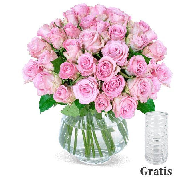 25 roséfarbene Rosen für 24,98€ + gratis Vase