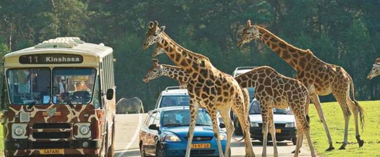 2 ÜN in NL inkl. Eintritt in Safaripark Beekse Bergen, Frühstück & Fitness ab 124€ p.P.