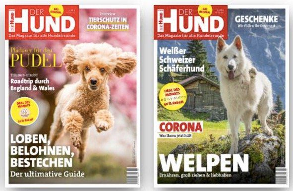 Der Hund Club inkl. Der Hund Jahresabo (12 Ausgaben) für 69€ inkl. 40€ Gutschein für Zooplus oder Schecker