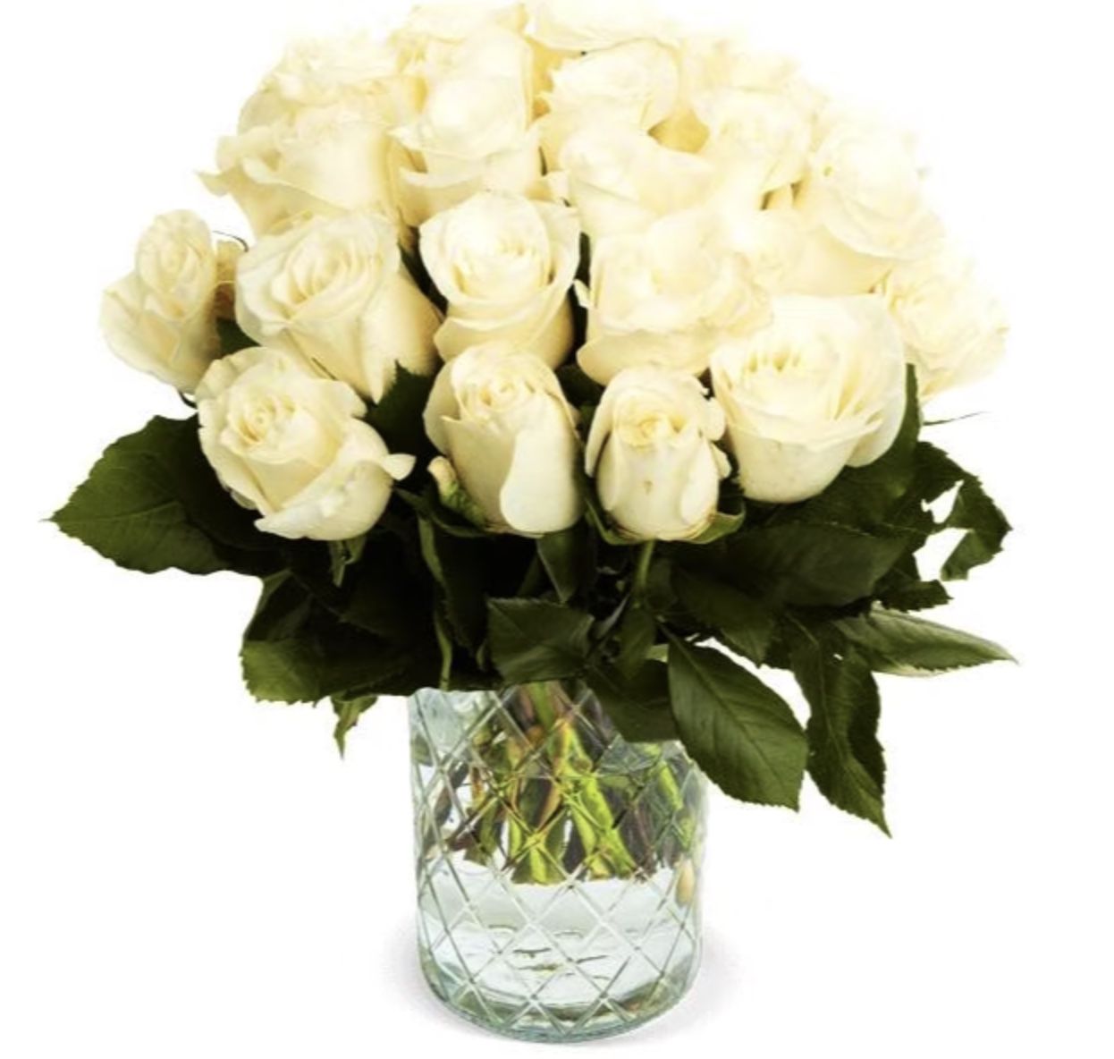 50 weiße Rosen mit 40cm für 25,98€ inkl. Versand