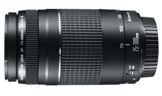 Canon EF III 75 mm   300 mm f/4 5.6 EF Objektiv für 90€ (statt 120€)