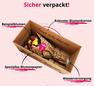 Rosenstrauß Frisch Verliebt mit pinken Rosen für 27,98€