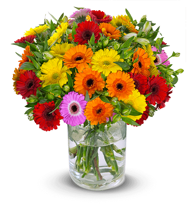 Blumenstrauß You Are The One mit 30 Stielen und über 150 Blüten für 24,98€