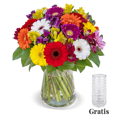 Blumenstrauß Flower Power mit Inkalilien und Gerberas + Vase für 23,90€