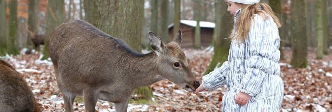 Feb & März: ÜN im Natur Resort Tripsdrill mit Frühstück, Wäsche und Eintritt ins Wildparadies ab 62€ p.P.