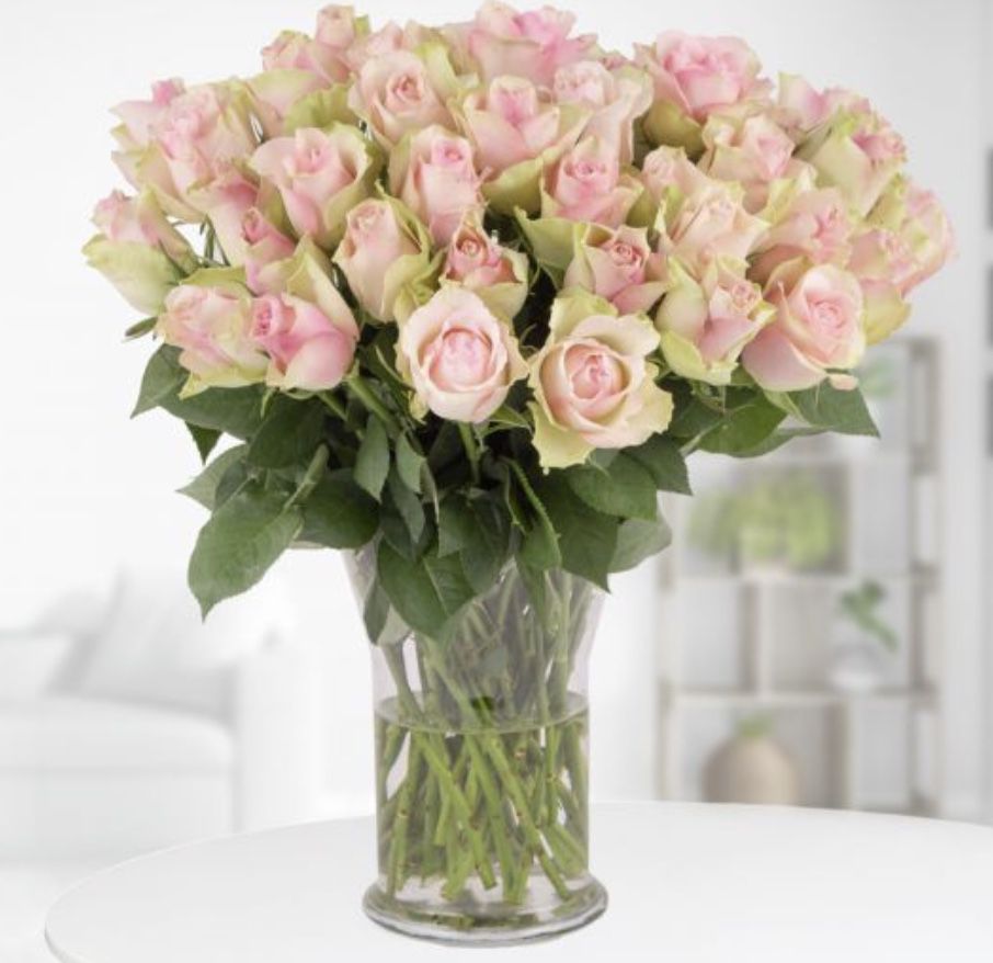40 pastellfarbene Rosen inkl. Grußkarte für 27,90€