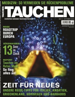 Zeitschriften Abos (Print) zu unverschämt günstigen Preisen   z.B. 12x Tauchen für 4,95€ (statt 96€)