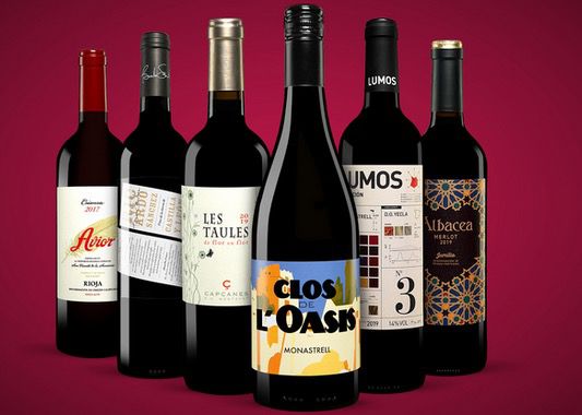 Vinos Rotwein Paket bestehend aus 6x Rotweinen ab 24,99€ (statt 54€)   oder 2x für 48,99€