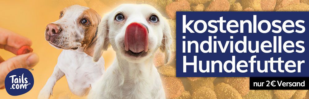 Individuelles Hundefutter gratis ausprobieren