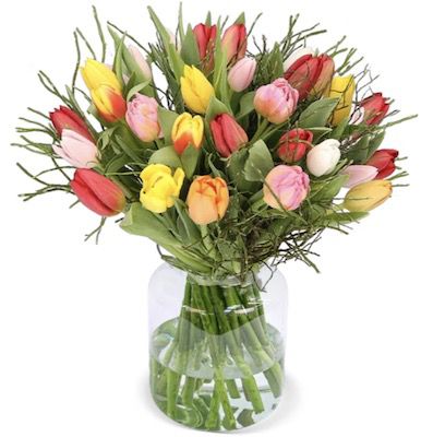 Tulpenstrauß Modern Love mit 14 Tulpen für 30,48€