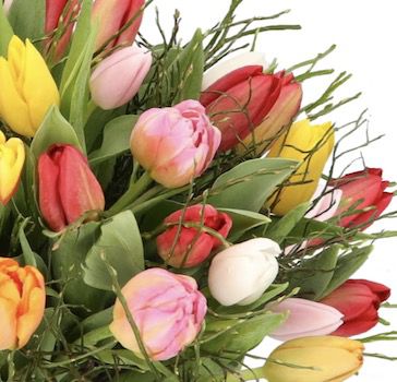 Tulpenstrauß Modern Love mit 14 Tulpen für 30,48€