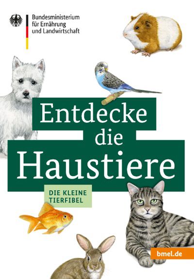 Wieder da! Entdecke die Haustiere   Die kleine Tierfibel gratis