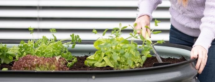 Westmann Metall Hochbeet Gartenbeet Grow Faster 240x80x82cm in Anthrazit für 194,99€ (statt 249€)