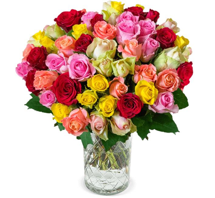 41 bunte Rosen Crazy in love für 25,98€