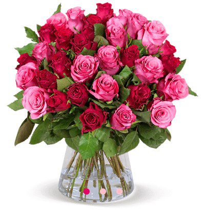 44 Rosen im Strauß Romantic Roses für 28,98€