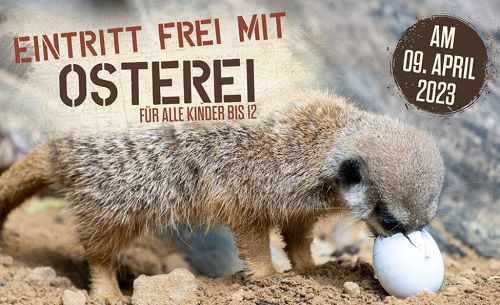 Serengeti Park: Ei dabei   Eintritt frei für Kinder bis 12 Jahre am Ostersonntag