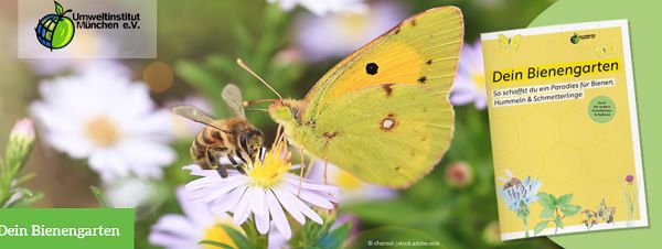 E Book Dein Bienengarten gratis sichern