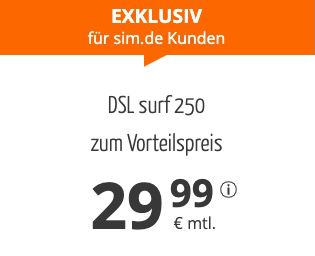 Exklusiv für Drillisch Kunden: 1&1 DSL 250 (250 Mbit/s / 40 Mbit/s) für dauerhafte 29,99€ mtl. (statt 49,99€ mtl.)
