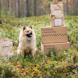 Hundefutter von Alvar gratis ausprobieren