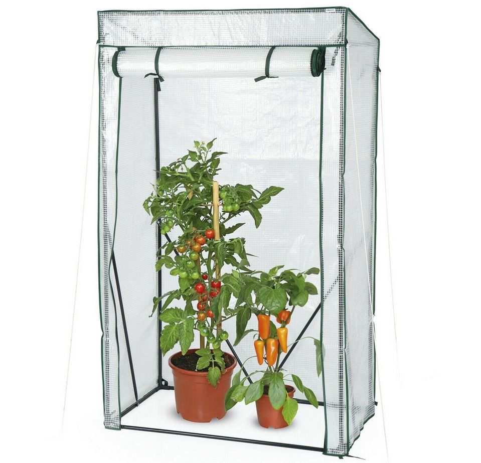 Hohberg Tomaten Gewächshaus (100x50cm) für 29,65€ (statt 40€)