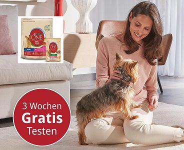 Gratis: Purina ONE®MINI für Hunde 3 Wochen Testaktion