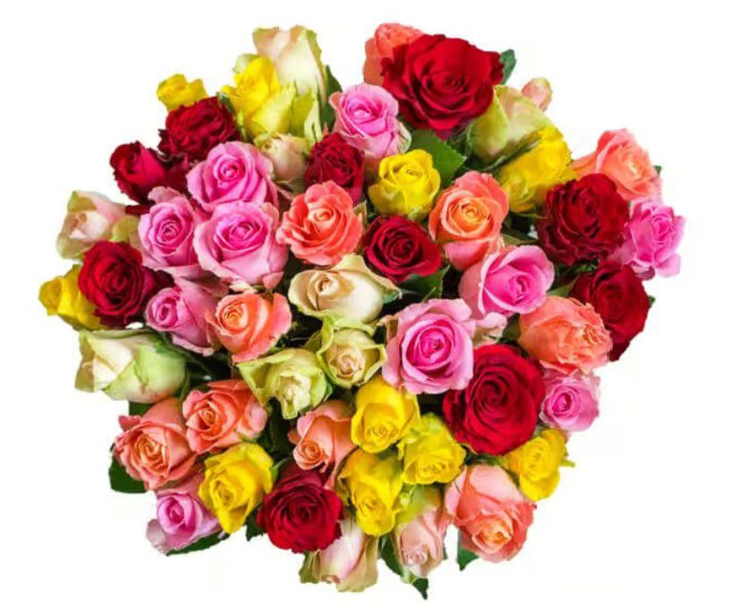 Rainbow Roses 41 bunte Rosen für 27,48€