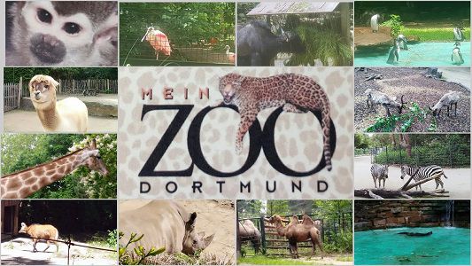 Dortmund: Im Zoo freier Eintritt für Kinder & Jugendliche