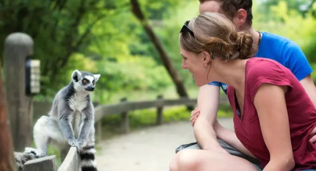 Tageskarte für den Allwetterzoo Münster für 11,92€ (Erwachsene) oder 6,32€ (Kinder 3 14 Jahren)