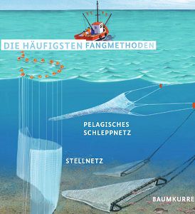 Wieder da! Kostenlos: Entdecke das Wasser   Die kleine Gewässerfibel