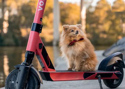 6 kostenlose Freischaltungen für Voi E Scooter