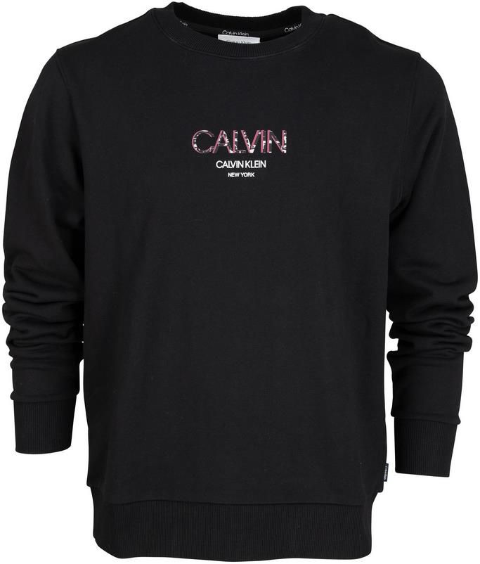 Calvin Klein Sweatshirt in zwei Farben für 59,99€ (statt 99€)