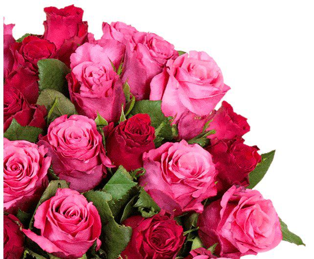 44 Rosen im Strauß Romantic Roses für 28,98€