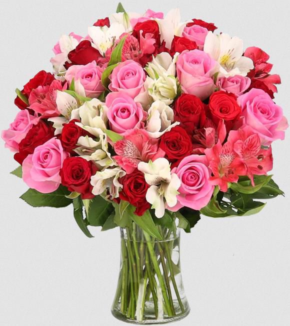 30 Stiele Rosenstrauß Rosenwunder XXL mit bis zu 100 Blüten für 25,98€ (statt 40€)