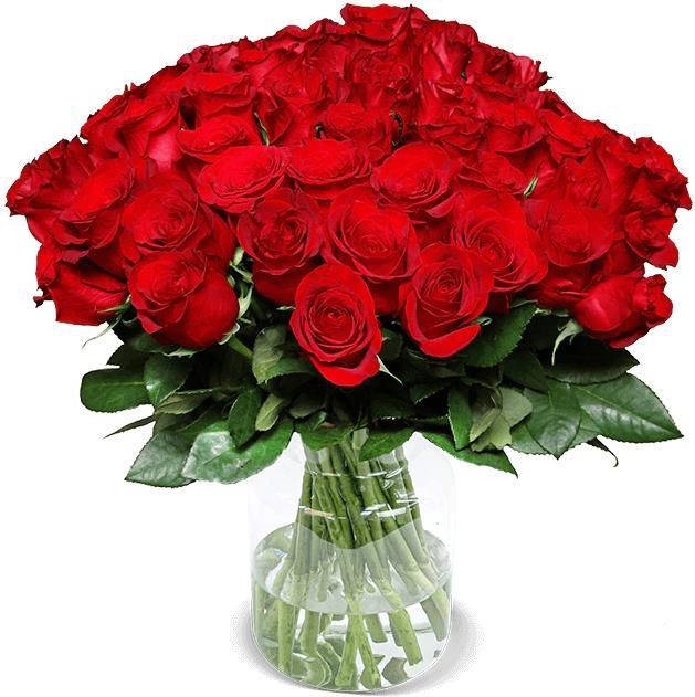 XXL Rosenstrauß mit 50 roten Rosen für 45,98€ (statt 85€)