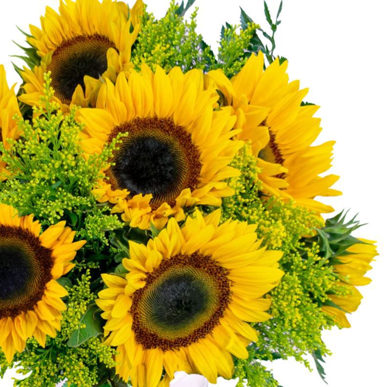 Herbst Liebe XXL Blumenstrauß mit 20 Sonnenblumen & Solidago für 25,98€