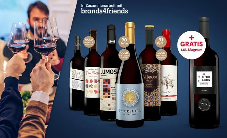 Vinos Advents Paket   6 erstklassige Rotweine + GRATIS: 1,5 L Magnum Flasche für 29,99€