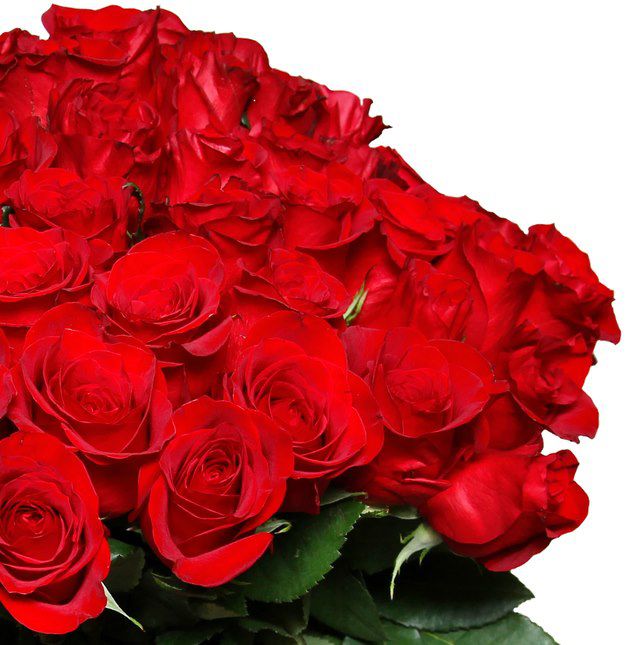 40 rote Rosen im Strauß “ClassicRed” für 25,98‬€   0,65€ pro Rose