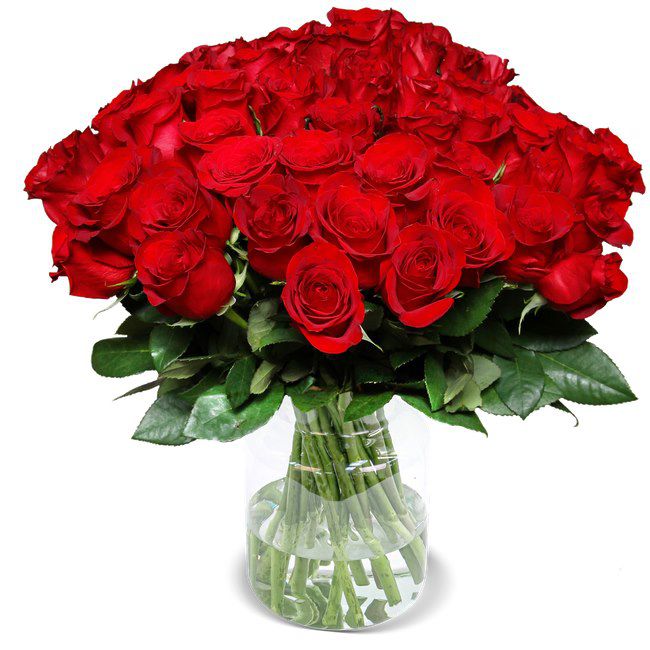 44 rote Rosen im Strauß “ClassicRed” für 26,98‬€ &#8211; 0,61€ pro Rose