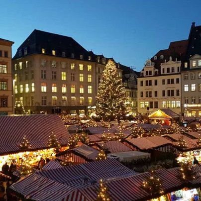 Leipzig verschenkt seine Weihnachtsbäume