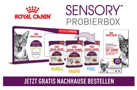 Kostenlos: ROYAL CANIN SENSORY Probierbox für Katzen