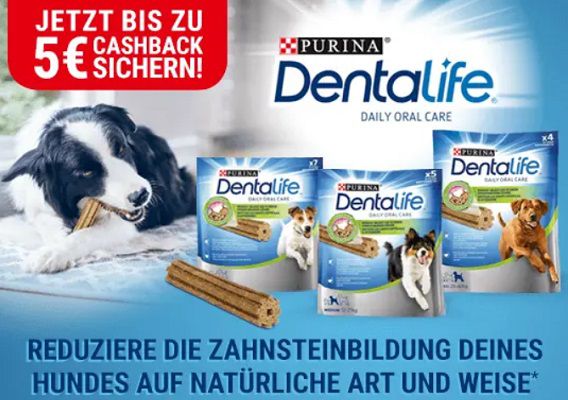 Purina Dentalife kostenlos ausprobieren