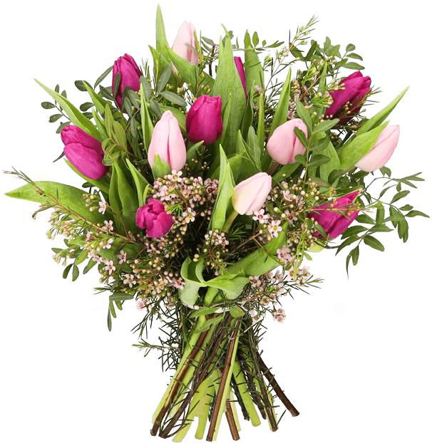 Blumenstrauß Tulpenliebe mit Rosa und pinken Tulpen für 25,98€ (statt 36€)