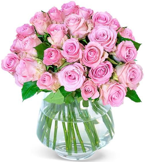 37 pinke Rosen mit 40cm Länge für 25,98€ (statt 44€)
