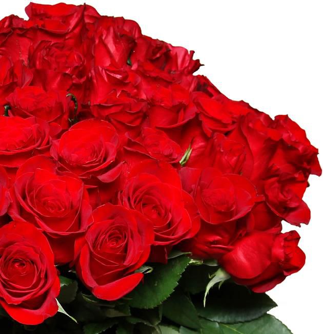 35 rote Rosen   Neujahrsgruß für 28,98€ (statt 40€)