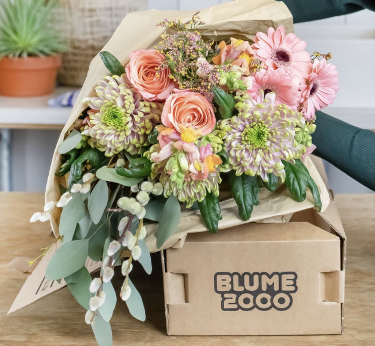 Blumenbox Sophie mit Rosen & Eukalyptus für 10€ inkl. Versand (statt 25€)