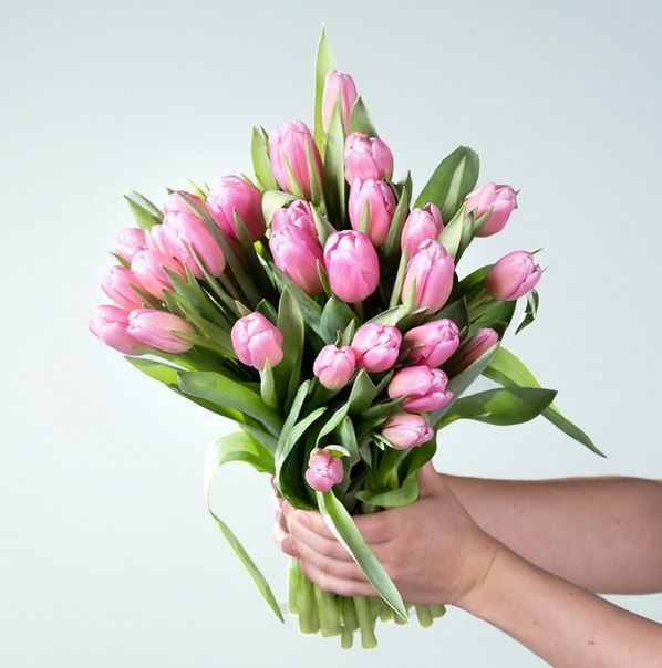 Tulpen in Rosa (30 Stiele) für 10€ inkl. Versand