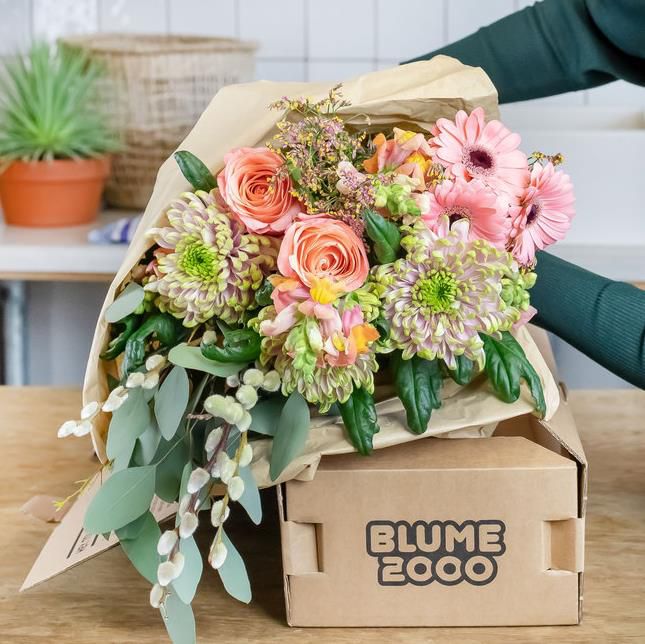 Blume2000: Blumenbox Sophie für 10€ (statt 25€)